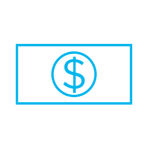 Cost Icon